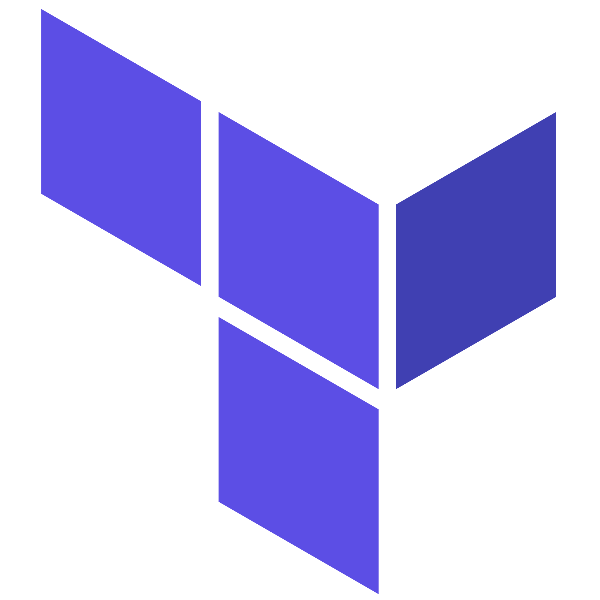 Terraform Logo